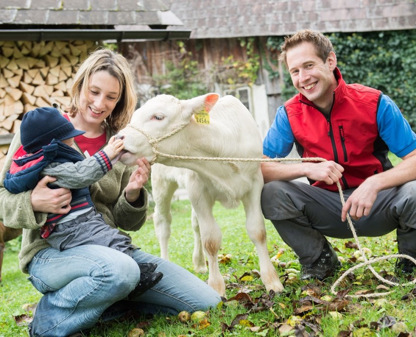 Geborgenheit für Nutztiere